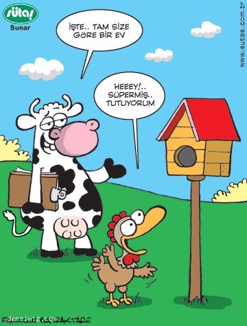 karikatür5