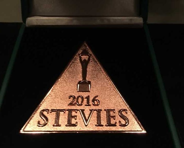 Yılın İşveren ödülünü NEF kazandı!