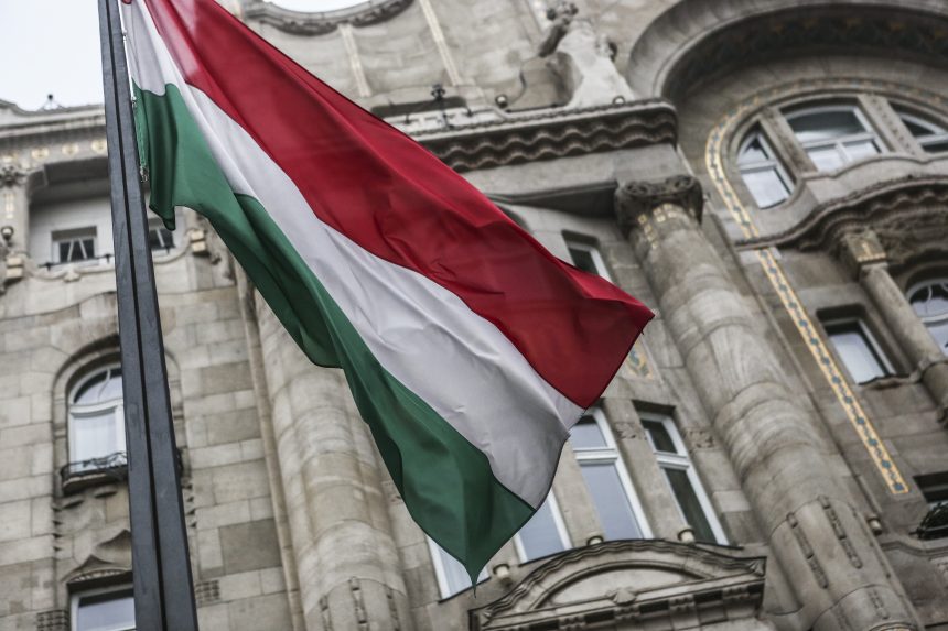 Voldan Yatırım, Macaristan ile ilgili haberlere açıklık getirdi!