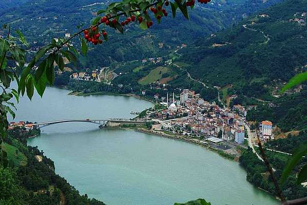 Tükiye'nin Davos'u Samsun Ayvacık, Arapların radarında!