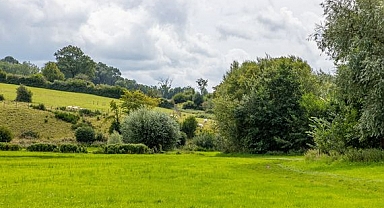Gayrimenkul Sektöründe Hareketlilik Artıyor: Arsa Yatırımı İçin Fırsat Zamanı! 